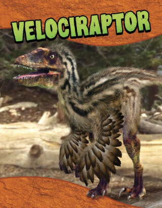 Velociraptor - Laura K. Murray