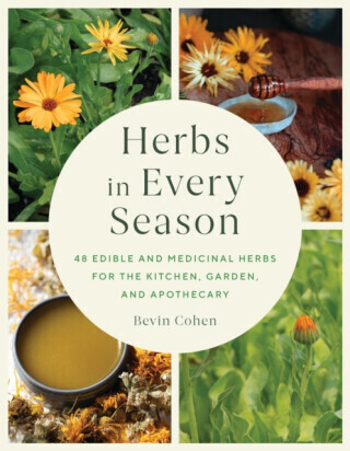 Herbs in Every Season - Bevin Cohen