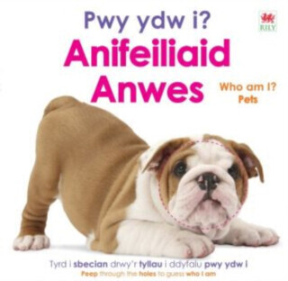 Pwy ydw i? Anifeiliaid Anwes / Who Am I? Pets - DK