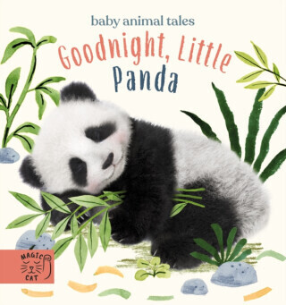 Goodnight, Little Panda - Amanda Wood