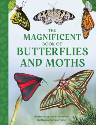 The Magnificent Book of Butterflies and Moths - Taylor Barbara