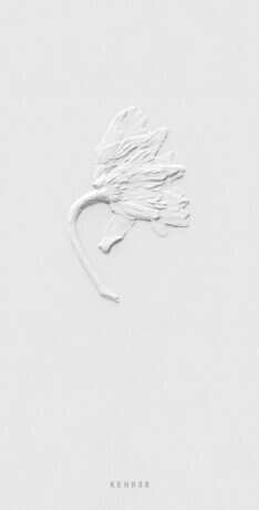 Ephemeral Field Journal - Sarah Schorr