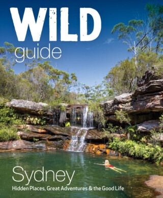 Wild Guide Sydney Australia - Cat Smith, Joe Bird