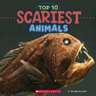 Top 10 Scariest Animals (Wild World) -  (Maloney Brenna)(Pevná vazba)