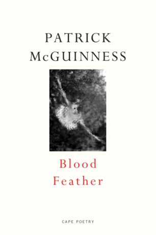 Blood Feather - Patrick McGuinness