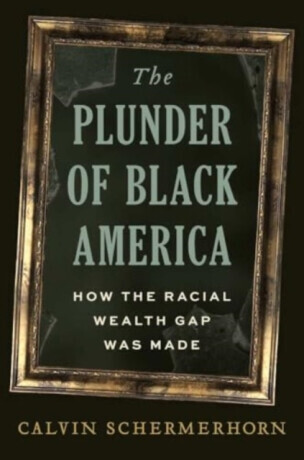 The Plunder of Black America - Calvin Schermerhorn