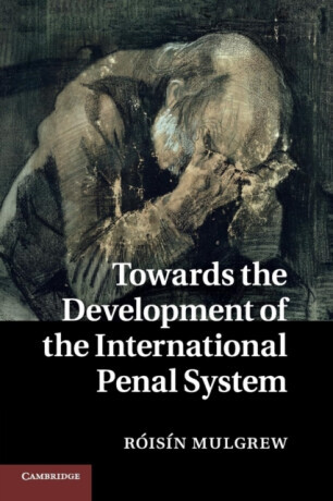 Towards the Development of the International Penal System - Roisin  Mulgrew