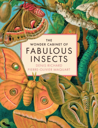 The Wonder Cabinet of Fabulous Insects - Denis Richard, Pierre-Olivier Maquart