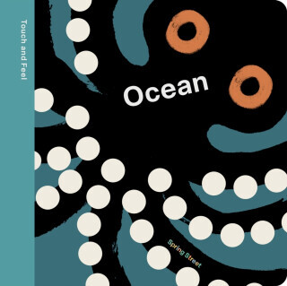 Spring Street Touch and Feel: Ocean - Boxer Books