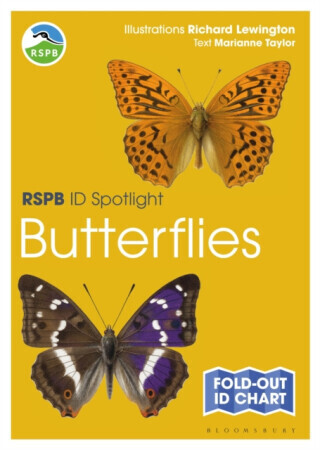 RSPB ID Spotlight - Butterflies - Taylor Marianne