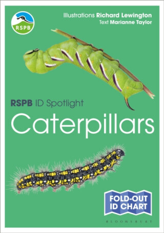 RSPB ID Spotlight - Caterpillars - Taylor Marianne