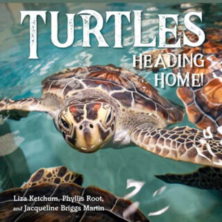 Turtles Heading Home! - Martin Jacqueline, Liza Ketchum