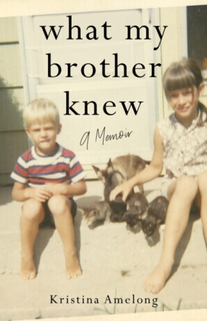 What My Brother Knew - Kristina Amelong