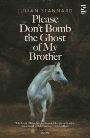Please Donâ€™t Bomb the Ghost of My Brother - Julian Stannard