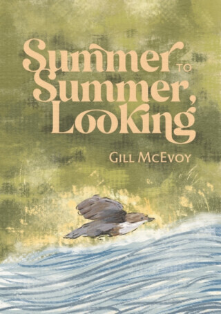 Summer to Summer, Looking - Gill McEvoy