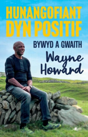 Hunangofiant Dyn Positif - Bywyd a Gwaith Wayne Howard - Jon Gower, Wayne Howard