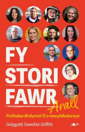 Fy Stori Fawr Arall - Profiadau dirdynnol 12 o newyddiadurwyr - Gwenfair Griffith