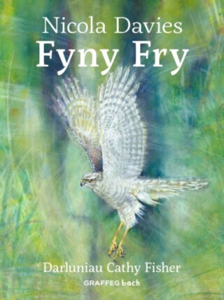 Fyny Fry - Nicola Davies