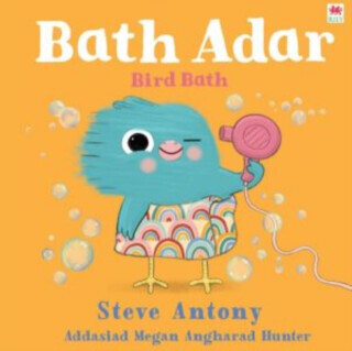 Bath Adar / Bird Bath - Steve Anthony