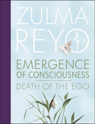 Emergence Of Consciousness - Zulma Reyo