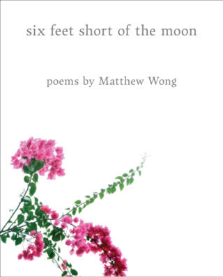 Six Feet Short of the Moon: Poems by Matthew Wong - Matthew Wong