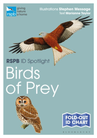 RSPB ID Spotlight - Birds of Prey - Taylor Marianne