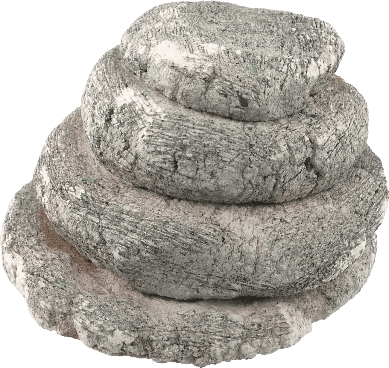 Dekorace Aqua Excellent želví ostrov