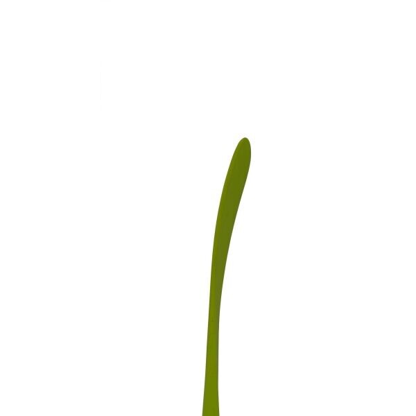 WINNWELL Q5 2019 YTH Hokejová hůl, , velikost