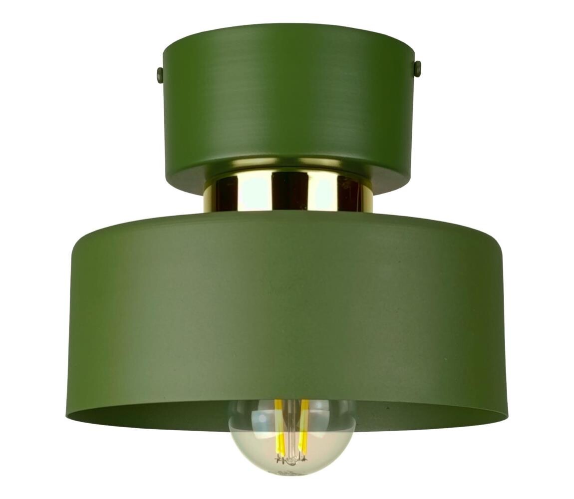 Keter Lighting Stropní svítidlo IGNIA 1xE27/60W/230V zelená 3384