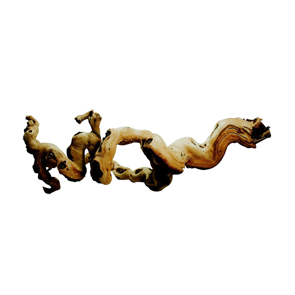 Lucky Reptile Premium kořenovice L 50–80 cm