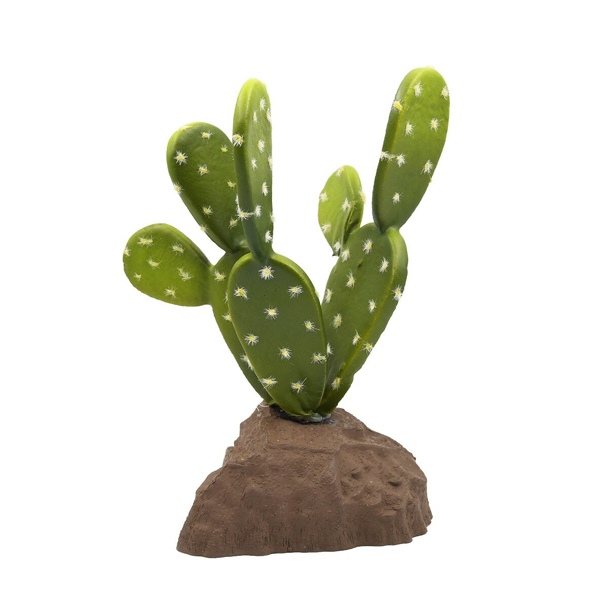 Lucky Reptile bobří ocas kaktus 15 cm