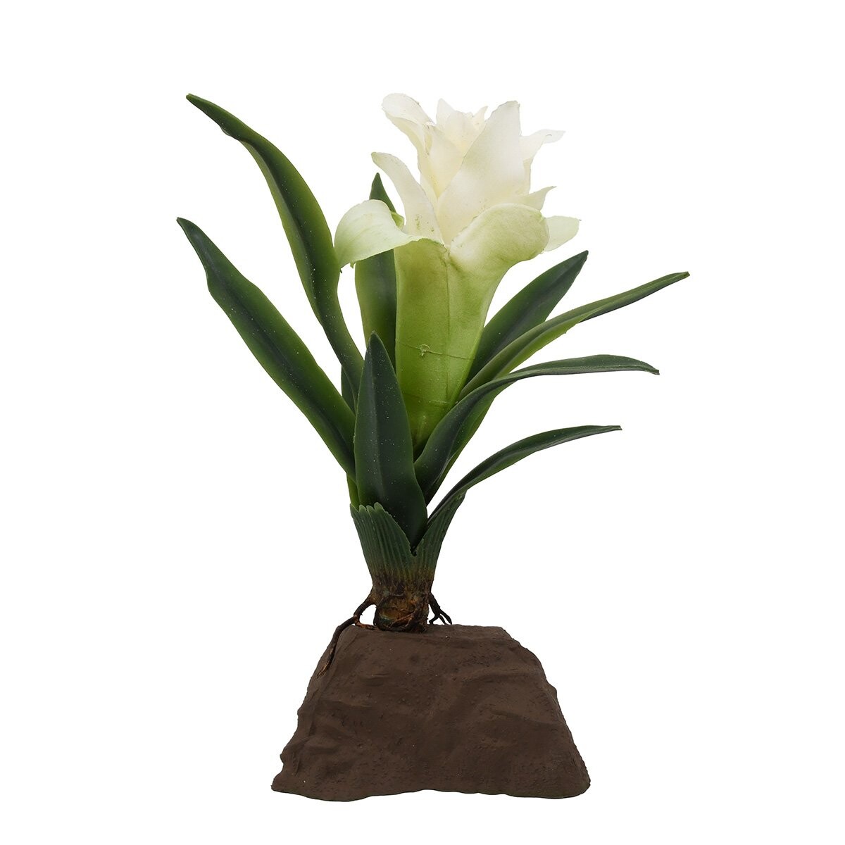 Lucky Reptile bromelie rostlina malá bílá 20 cm