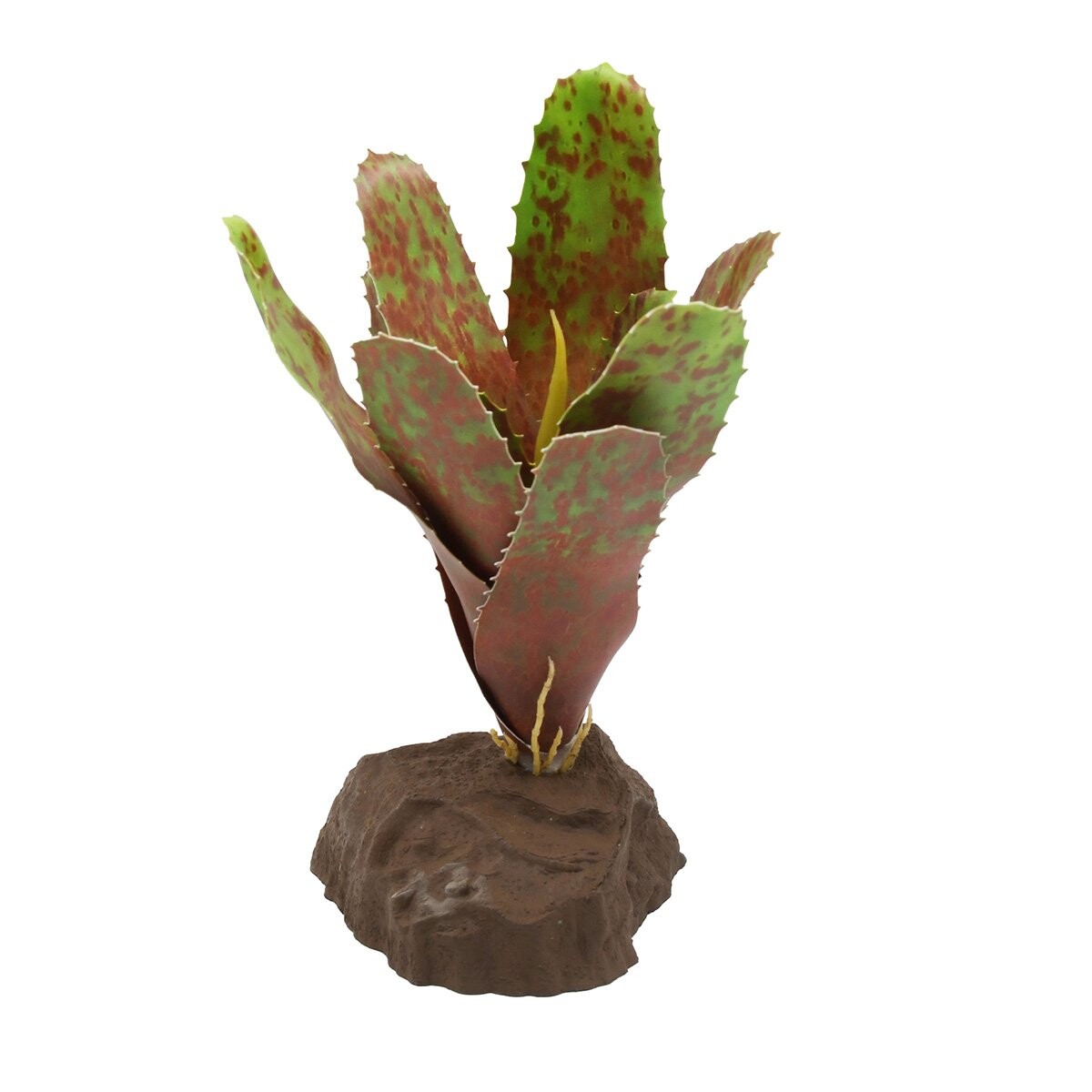 Lucky Reptile bromélie neoregelia zelená 20 cm