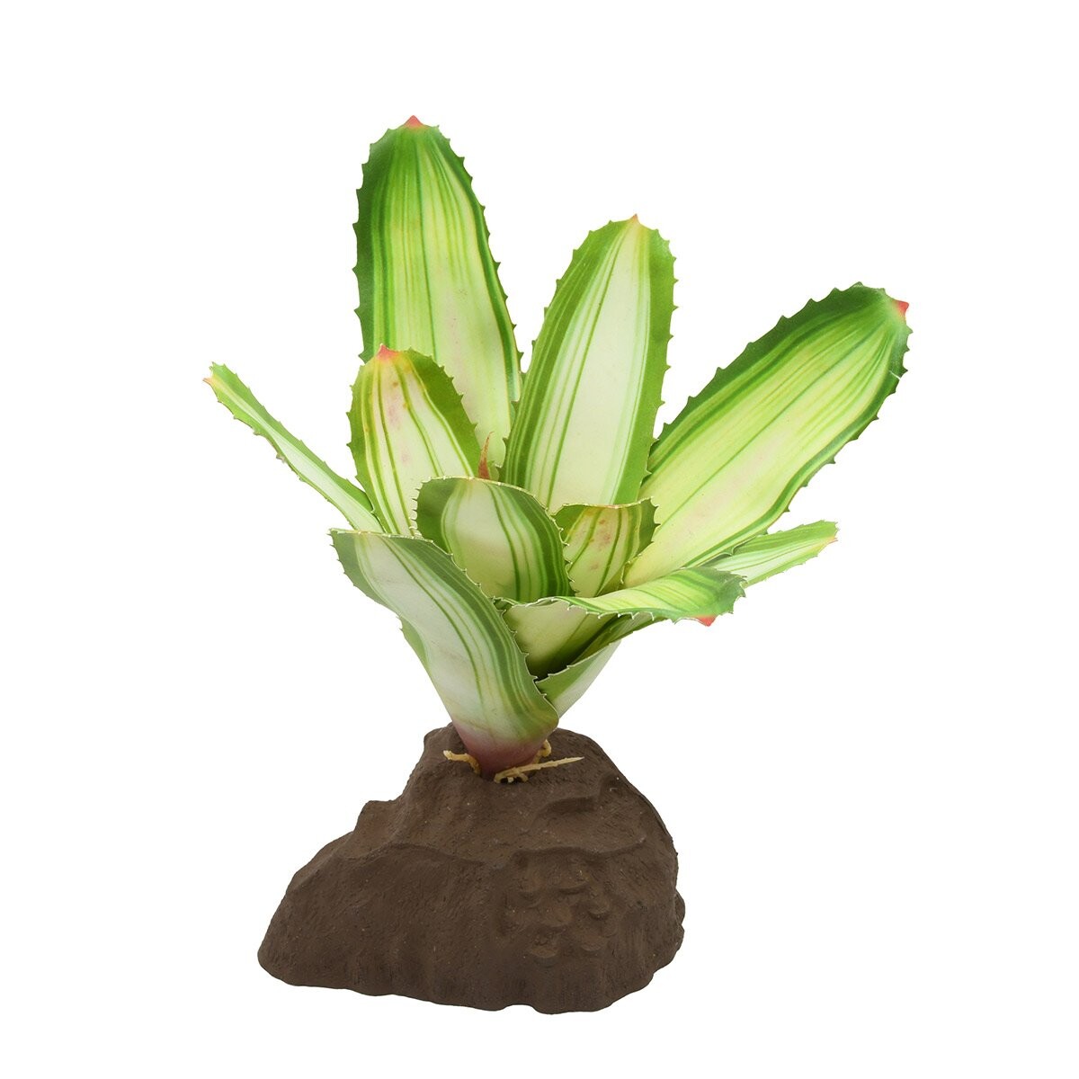 Lucky Reptile Bromélie Neoregelia bílá 20 cm