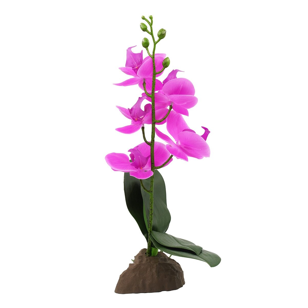 Lucky Reptile Orchidee malá fialová 35 cm