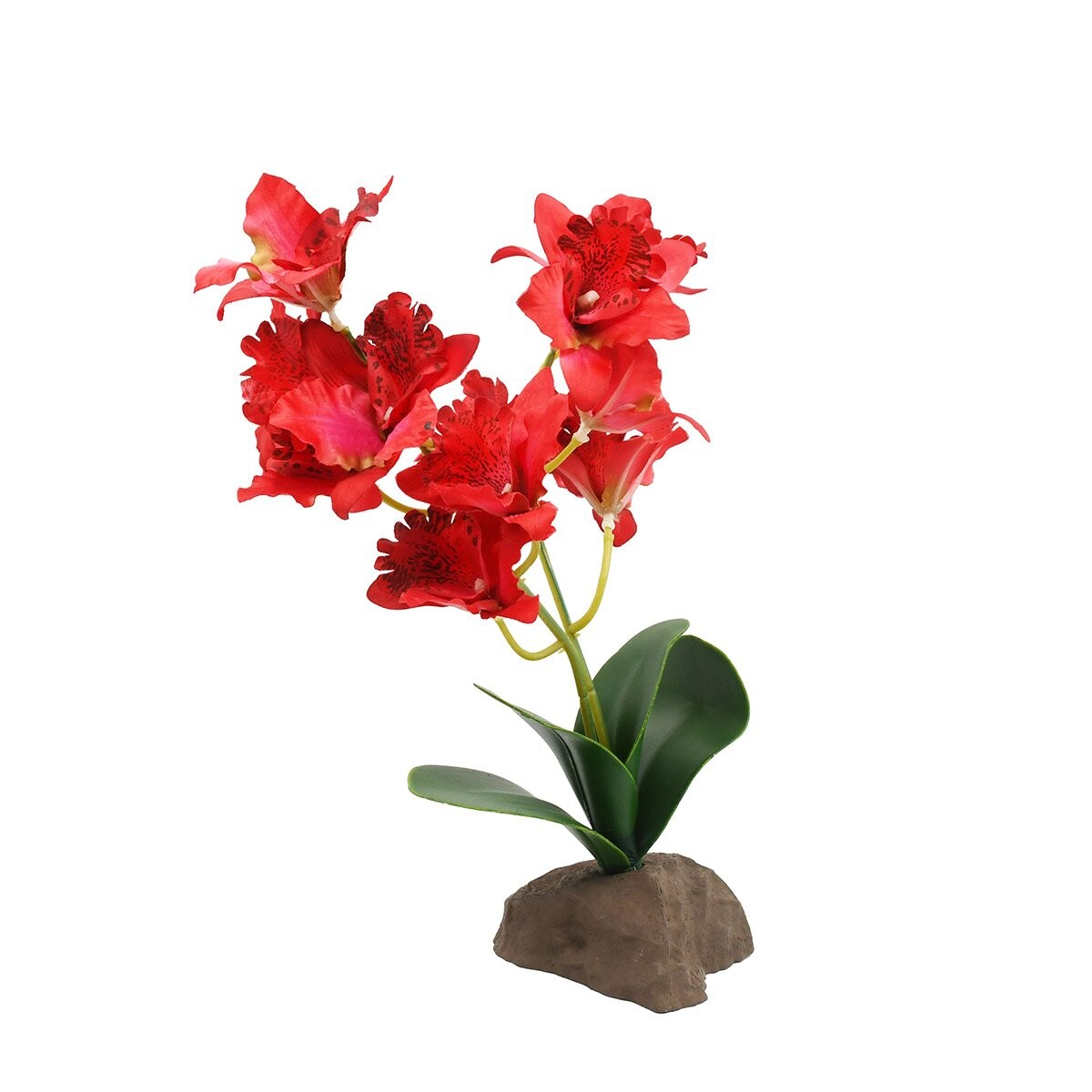 Lucky Reptile orchidej velká červená 30 cm