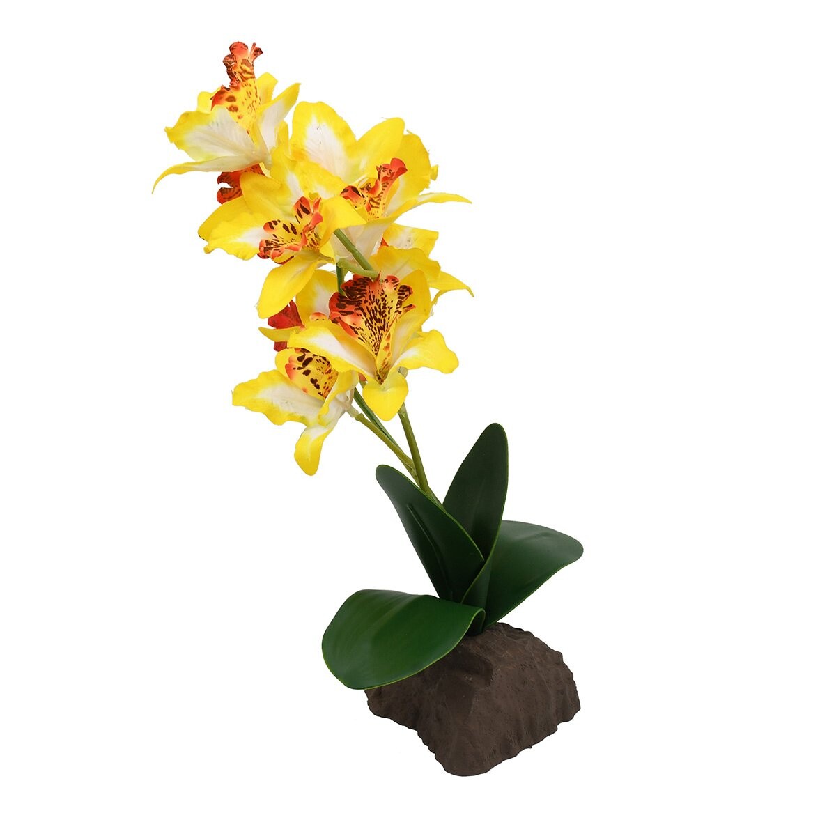 Lucky Reptile orchidee velká žlutá 35 cm