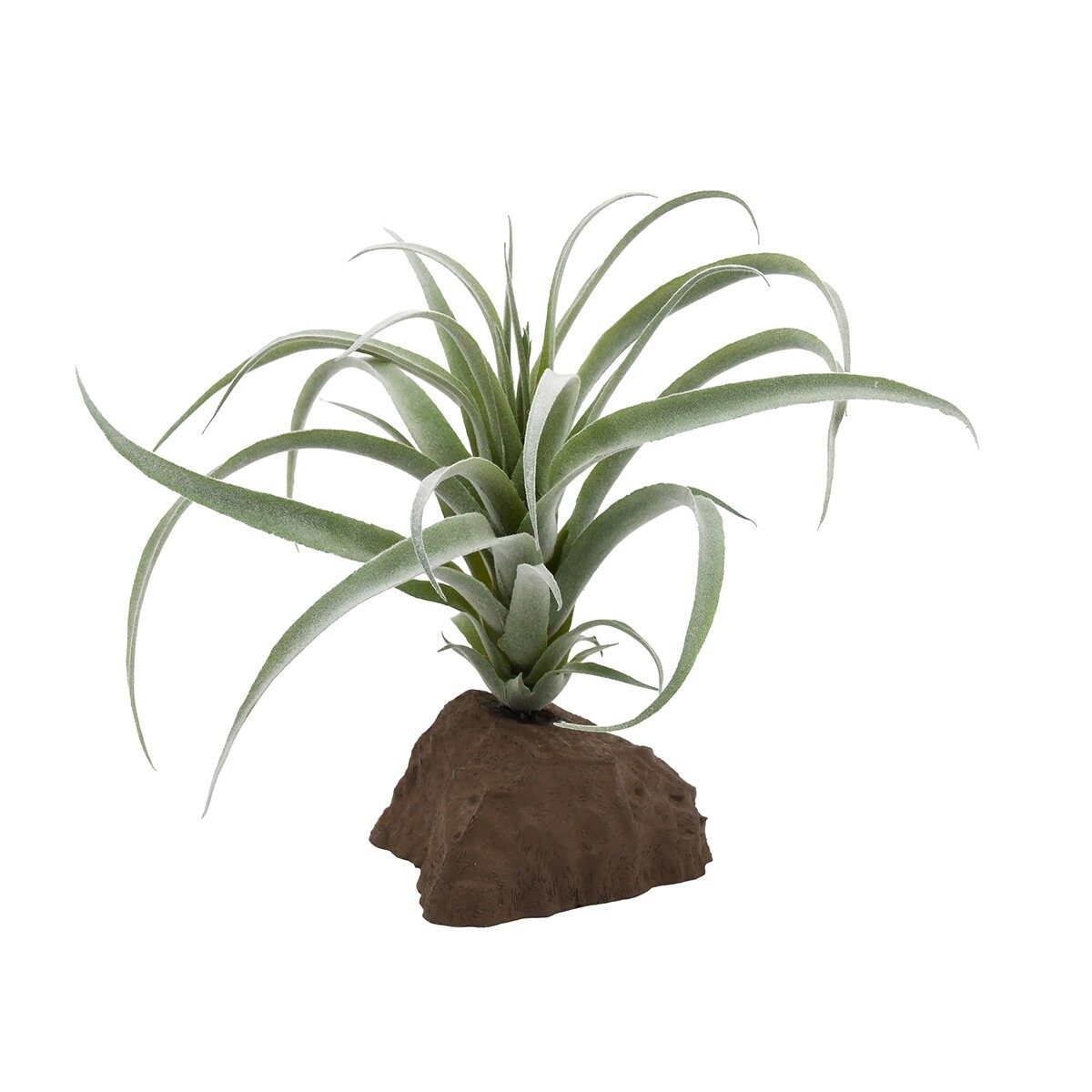 Lucky Reptile tillandsie rostlina 20 cm