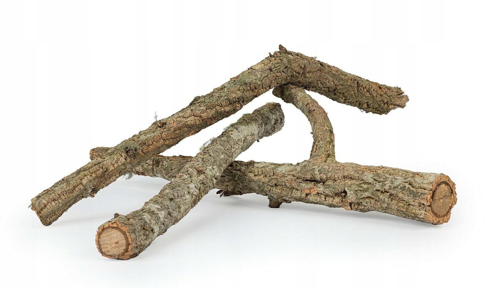 Přírodní korková větev 150 cm – ozdoba a úkryt pro plazy