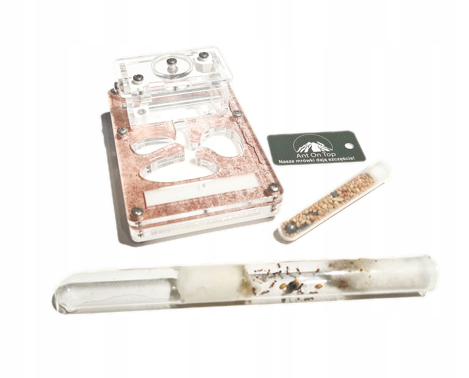 Sada Start pro chov mravenců z formikária Vzdělávací sada