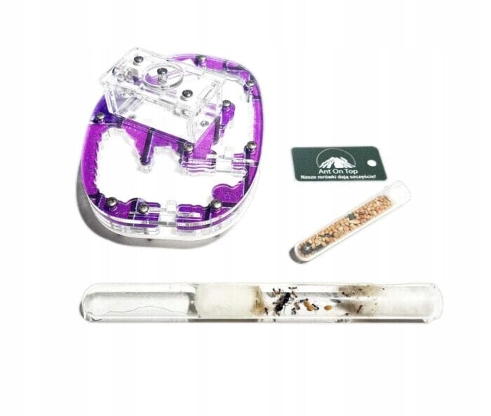 Chovatelská sada 1 pro chov mravenců z formikária Vzdělávací sada