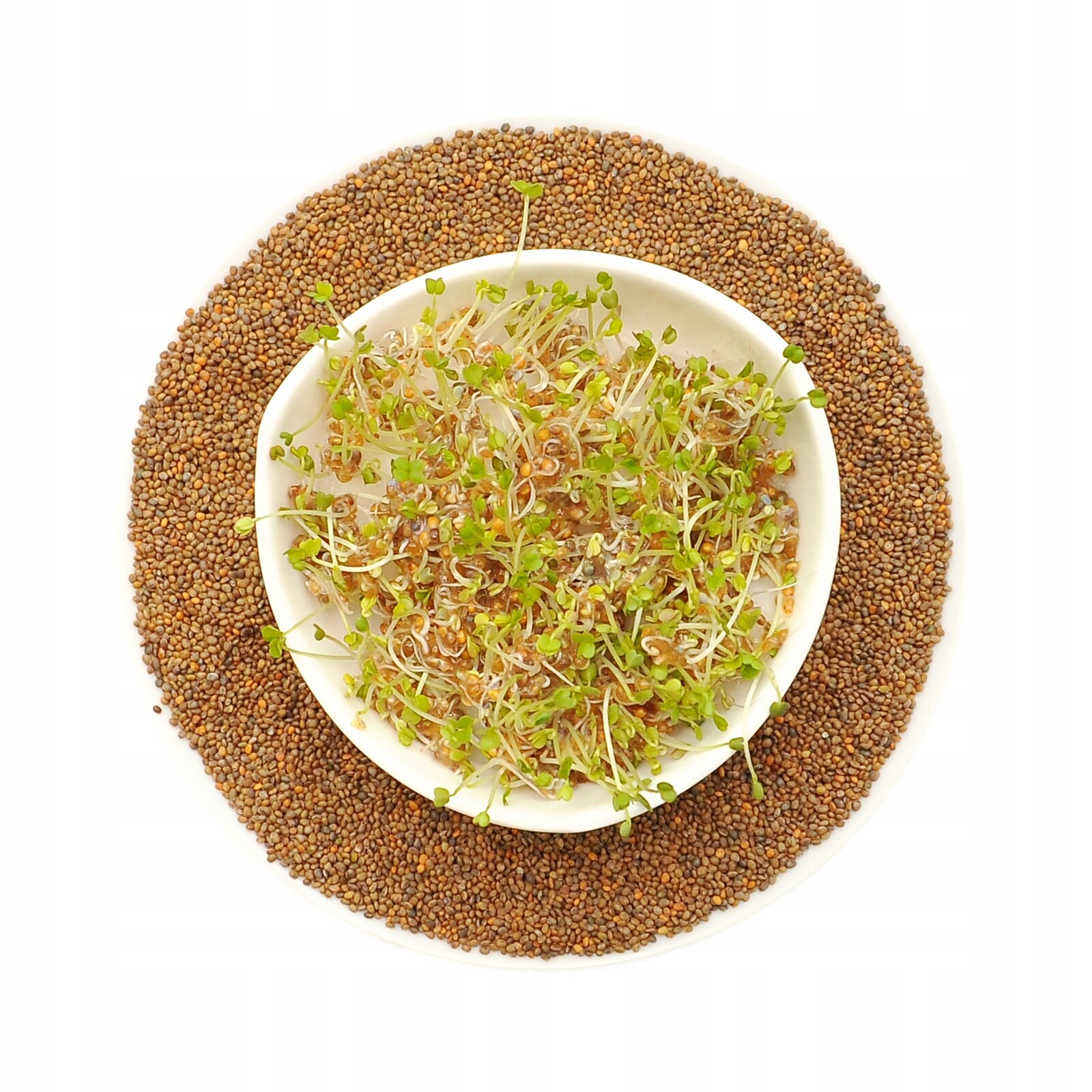 semínka na klíčky vysoce kvalitní nakličovací nádoba 500 g