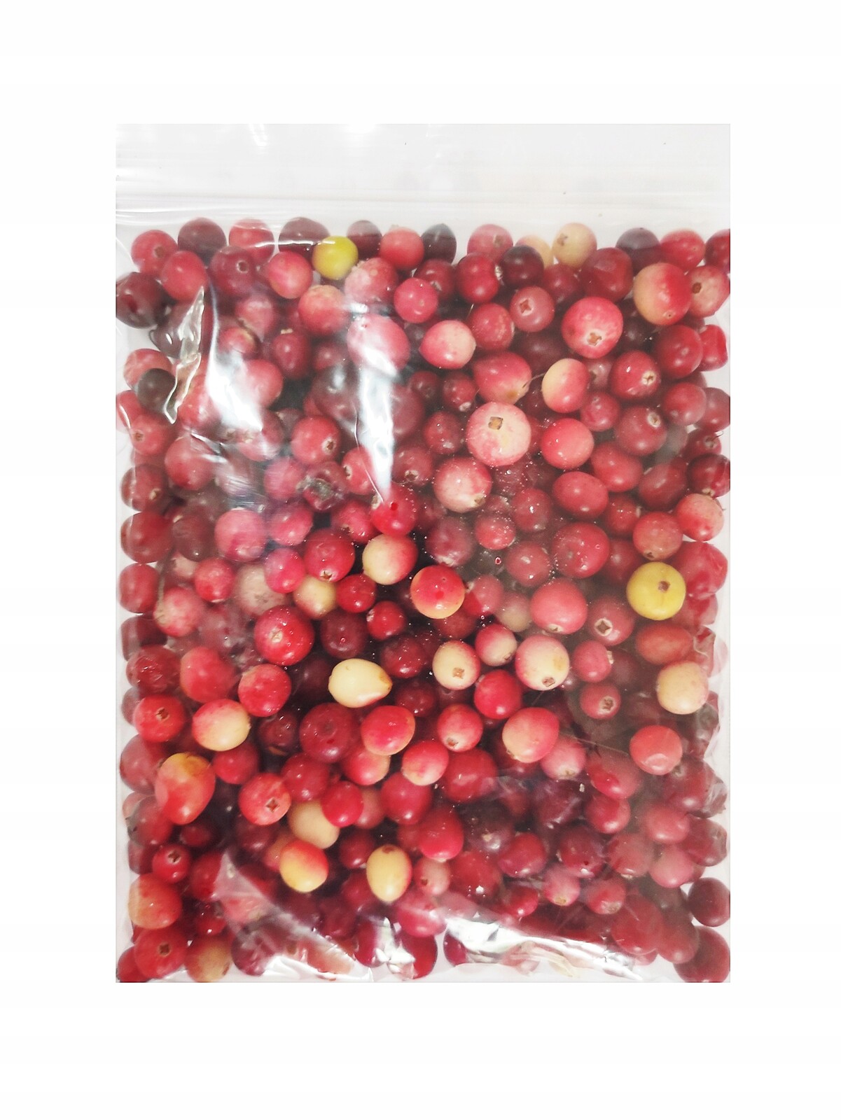 Čerstvá Brusinky Lesní Bahenní Plod Polská Sklizeň 2025 5 Kg