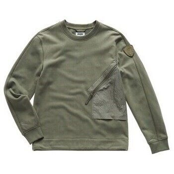 Blauer  BLUF03065  Zelená