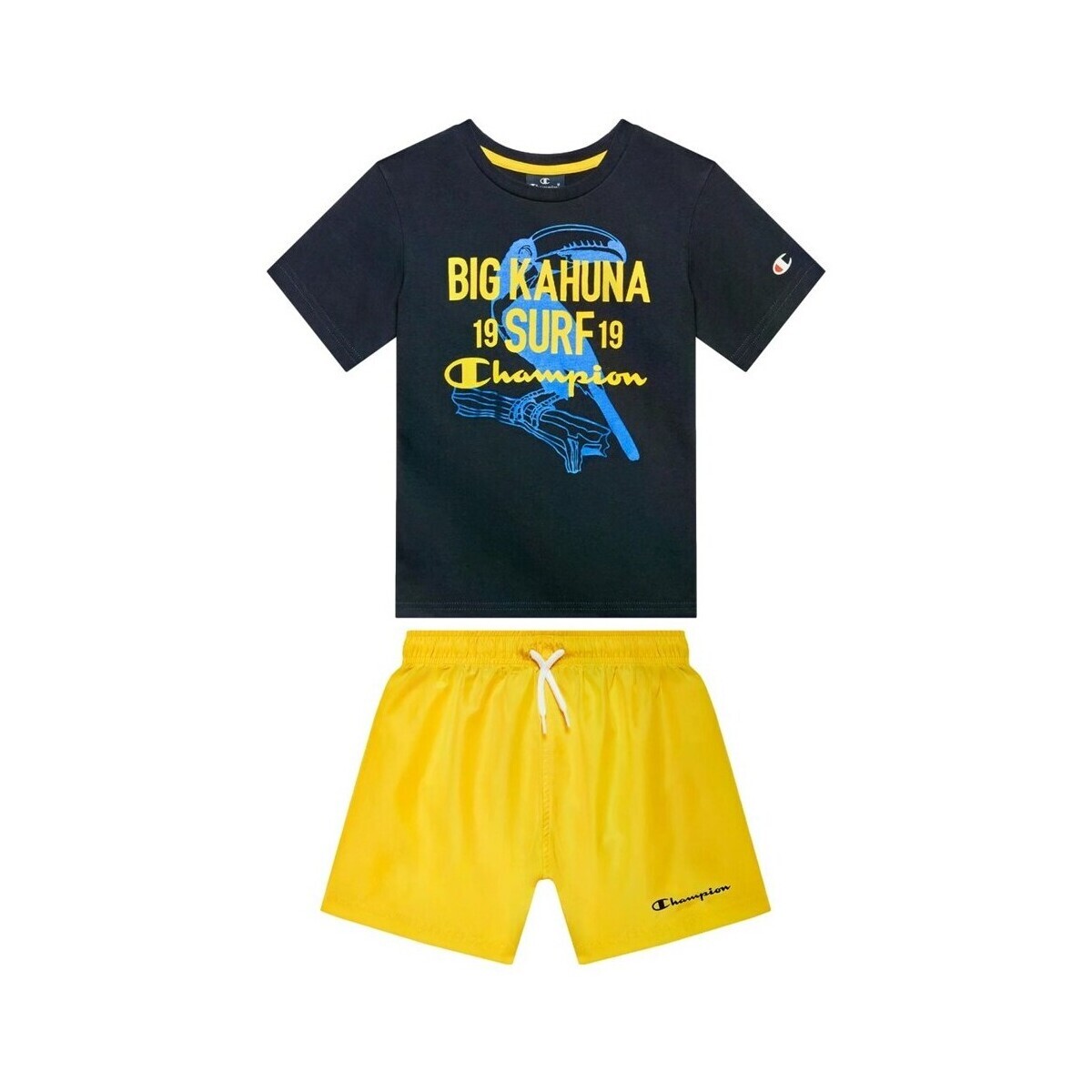 Champion  306052BS501  ruznobarevne