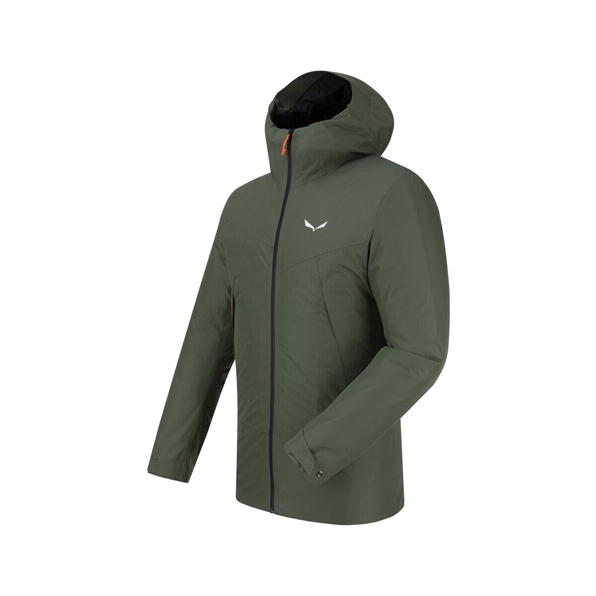Salewa  Wander winterjacke Fanes 2in1 Powertex  Zelená