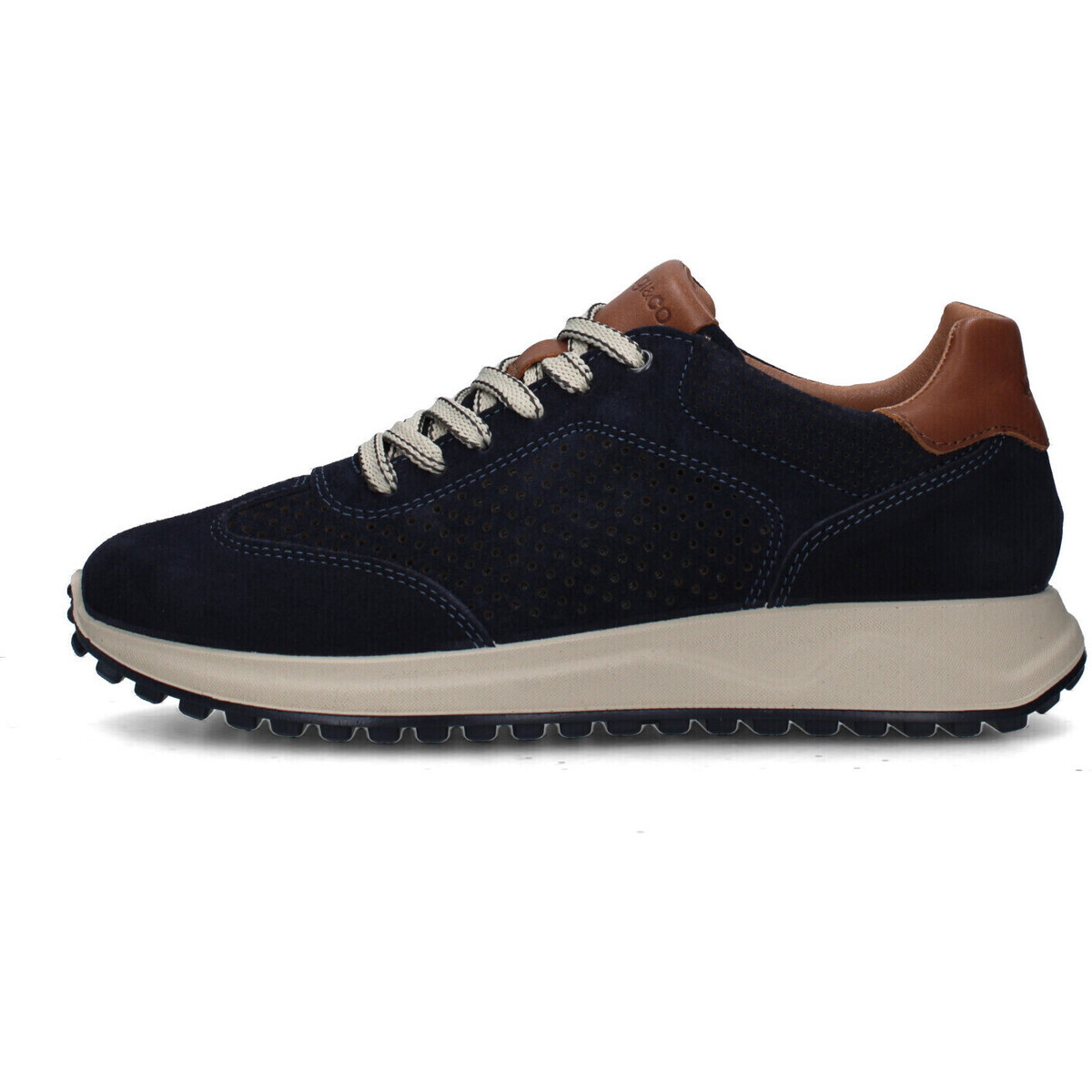 IgI&CO  7634733  Modrá