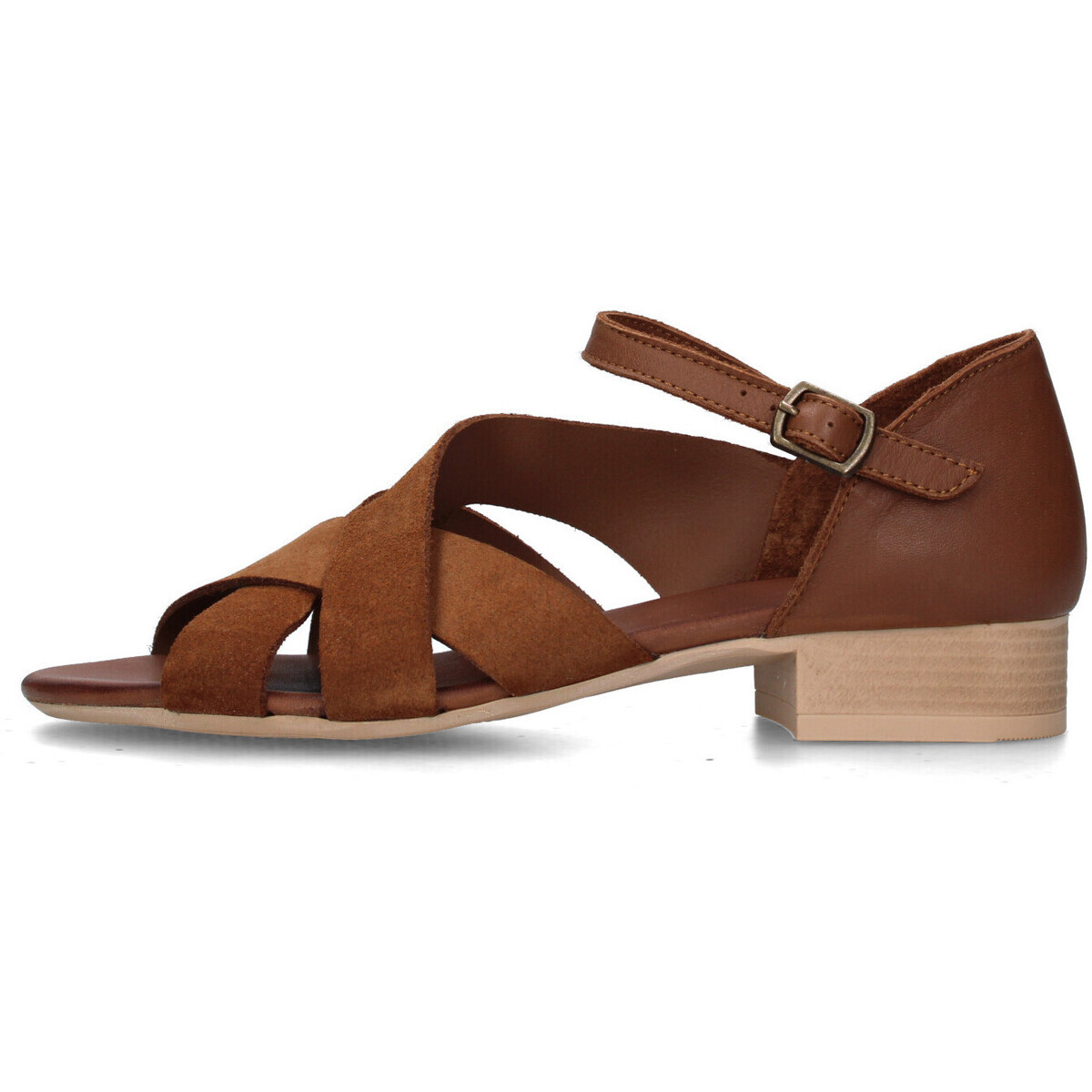 Camore  WE2701  Hnědá