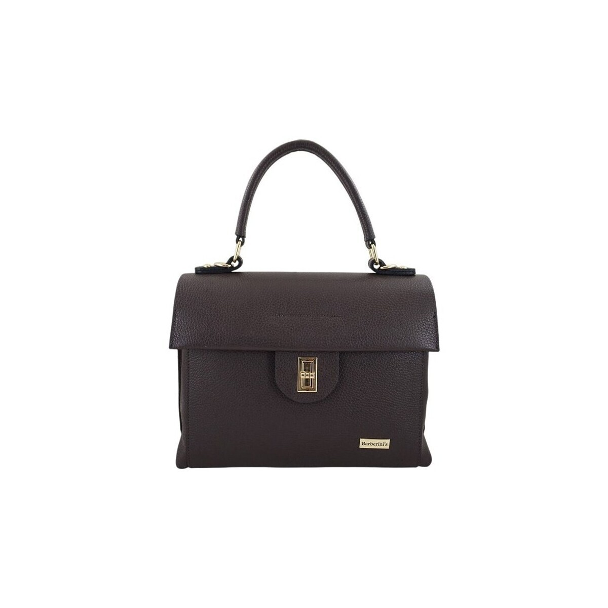 Barberini's  99211  Hnědá