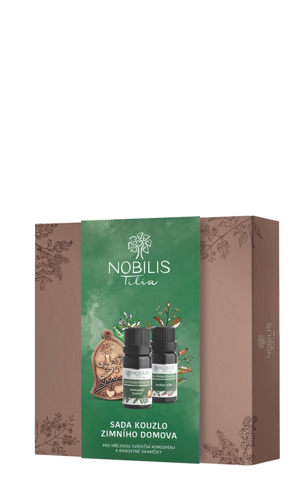 Sada kouzlo zimního domova